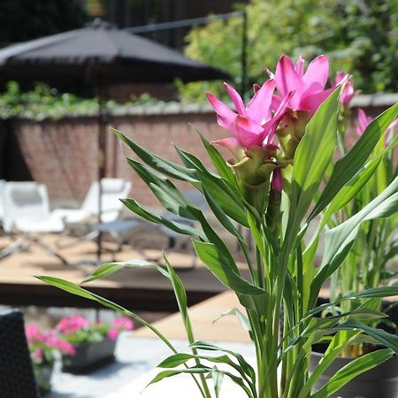 Charmehotel Villa Saporis 하셀트 외부 사진
