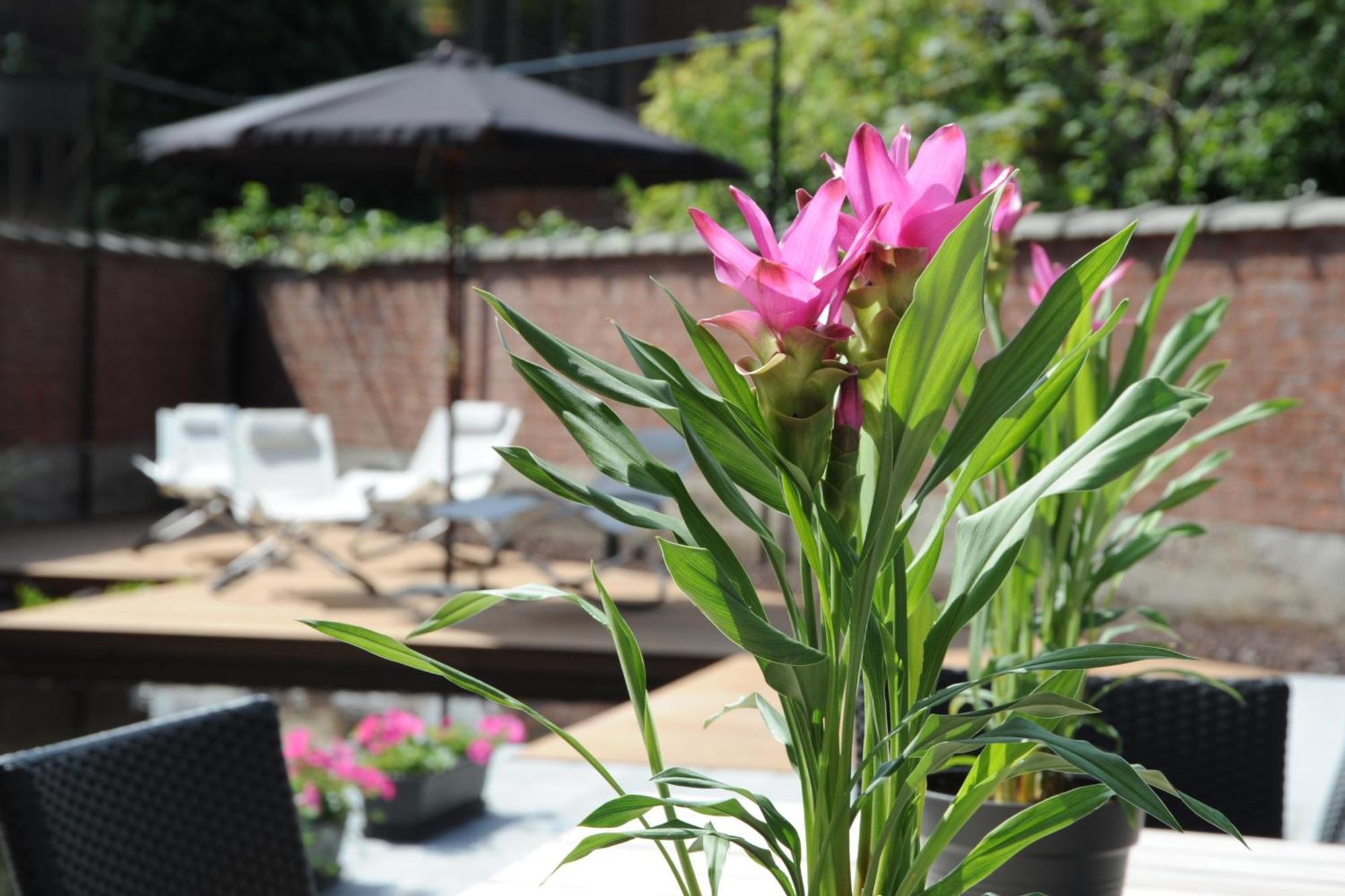 Charmehotel Villa Saporis 하셀트 외부 사진